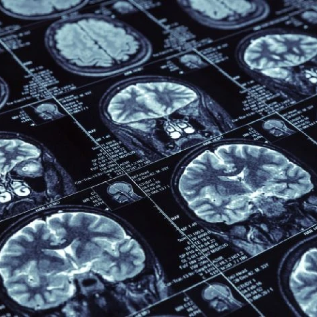 52201790337 bbb6641239 o